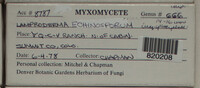 Image Associated With the Occurence